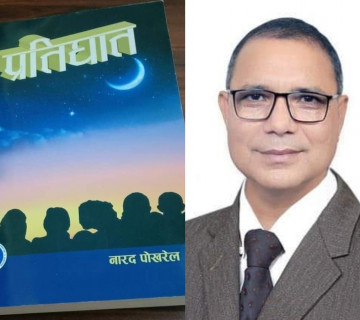 नारद पोखरेलको 'प्रतिघात': आदर्श समाज निर्माणमा हण्डर खेपेका युवाको भोगाई